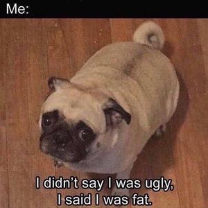 Meet your Posher, Mikell